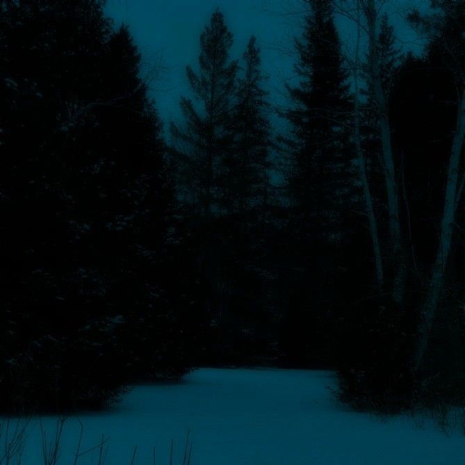 Create meme: gloomy winter forest, night forest , night in the taiga