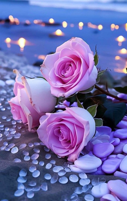 Create meme: beautiful flowers , flowers beautiful roses, beautiful roses 