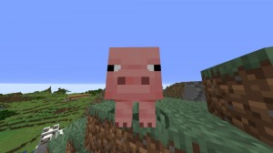 Create meme: a pig in minecraft, pig from minecraft face, minecraft