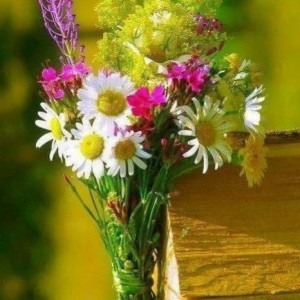 Create meme: wild flowers, postcard wildflowers beautiful