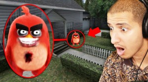 Create meme: angry birds, angry birds 2, boy