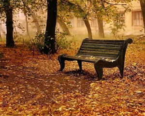 Create meme: bench, background shop, landscape with bench