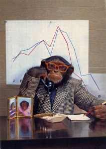 Создать мем: обезьяна смешная, меловая доска, обезьяна директор