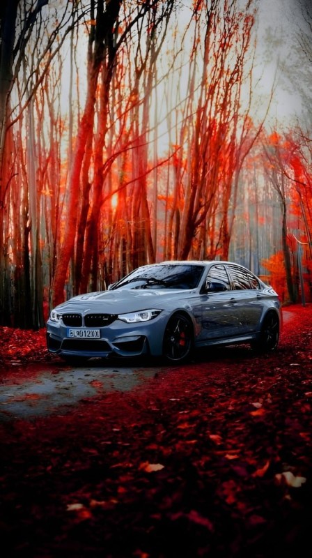 Создать мем: BMW 3er VI (F3x), bmw m3, bmw f10