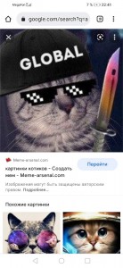 Create meme: cat global