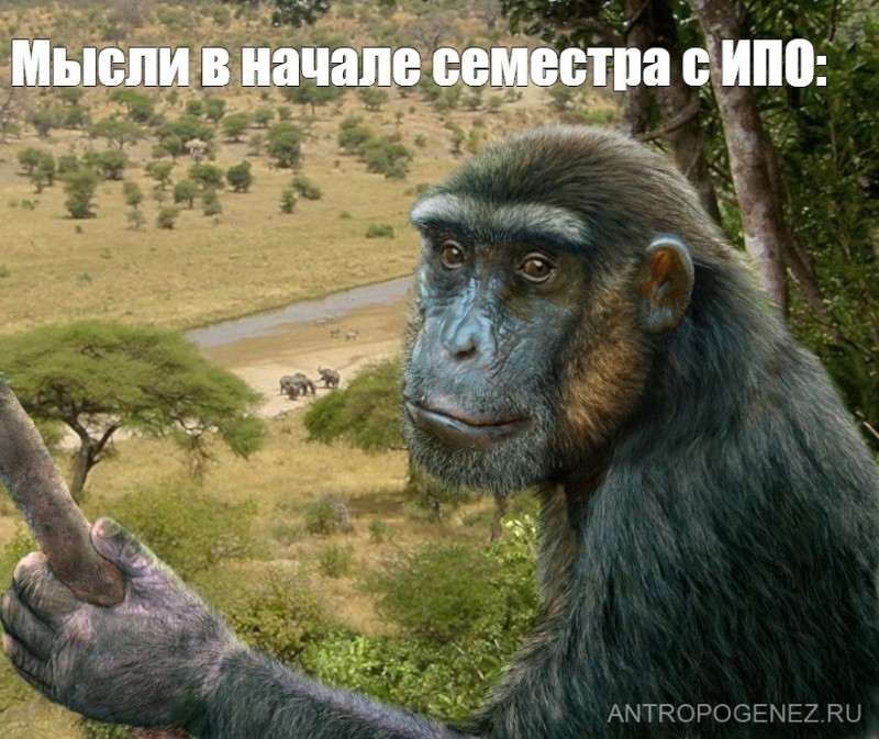 Create meme: sahelanthropus, primates , meme "planet of the apes, rise of the planet of the apes