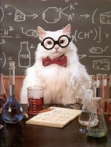Create meme: chalk Board, cat scientist