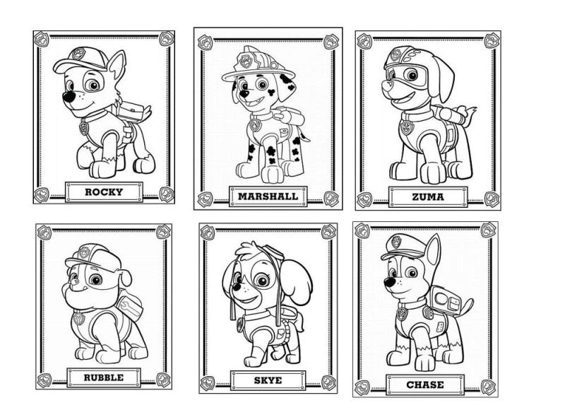Create meme: Rocky's Puppy Patrol coloring book, Puppy Patrol coloring book, Coloring pages puppy Patrol print