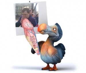 Create meme: Dodo, the Dodo bird