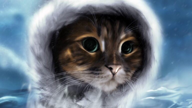 Создать мем: кошачий арт, кот в капюшоне, милые котята арт