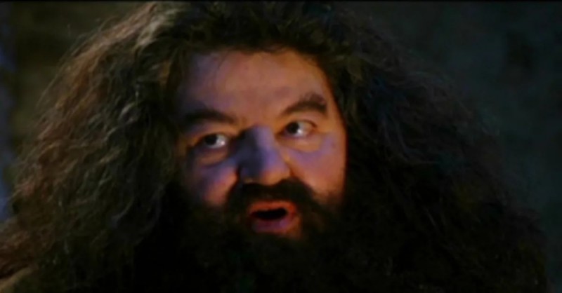 Create meme: rubeus hagrid, Harry potter hagrid actor, Harry Potter Hagrid