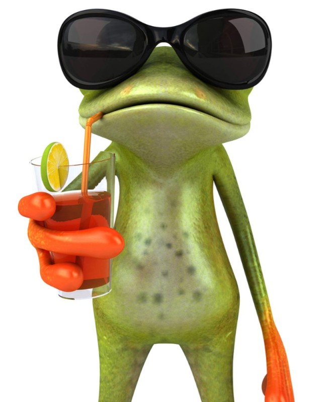 Create meme: cool frog, funny frogs