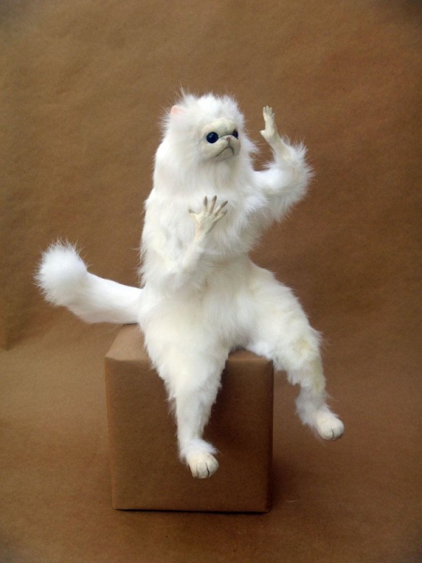 Create meme: stuffed white cat, meme white cat on two legs, meme stuffed cat 