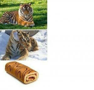 Create meme: mauled by tiger