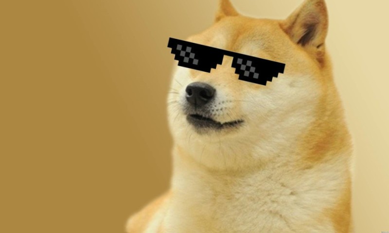 Создать мем: собака в очках мем, собака doge, собака мем