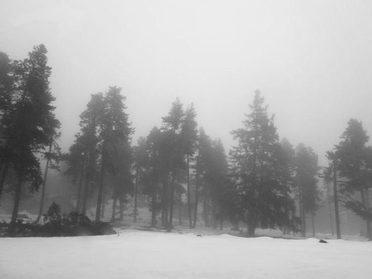 Создать мем: размытое изображение, мрачный зимний лес, зима туман