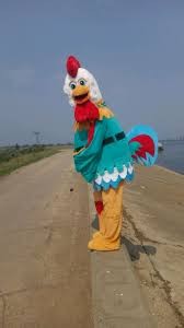 Create meme: A full-length rooster doll, a life-size cockerel doll, chicken costume adult