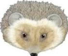 Create meme: mask hedgehog, animals hedgehog, white the hedgehog