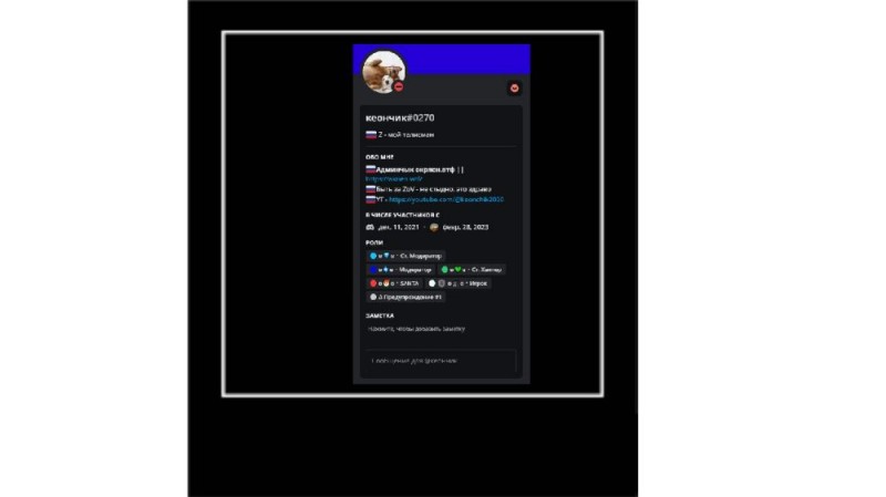 Create meme: chat twitch, discord mobile version, screenshot 