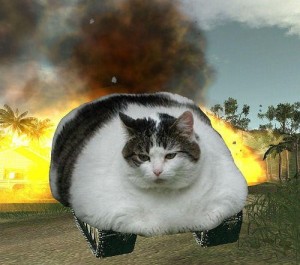 Create meme: the fat cat, cats, cat