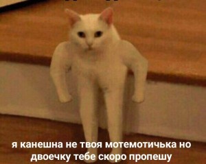 Create meme: meme cat, cat meme Polyot, cat meme