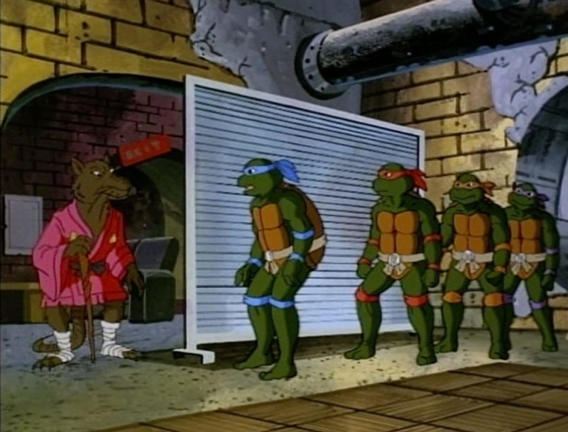 Create meme: salvation, the mutant ninja turtles , Teenage Mutant Ninja Turtles 1987-1996