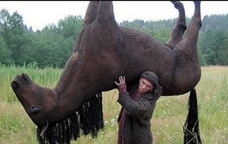 Создать мем: meanwhile in russia, поднял коня, смешной конь