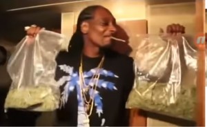 Create meme: Snoop Dogg with bags, Snoop Dogg with grass, Snoop Dogg with packages of grass
