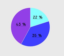 Create meme: pie chart , chart, sector charts