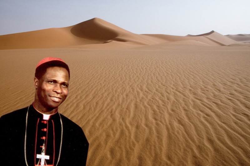 Создать мем: песок в пустыне, сахара, сахара пустыня