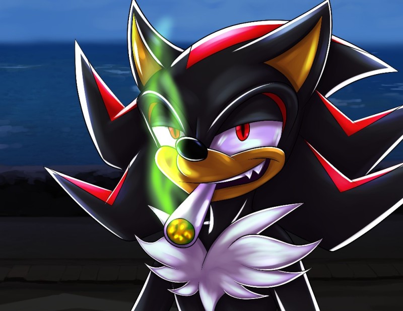 Create meme: hedgehog shadow, sonic x shadow silver, shadow 