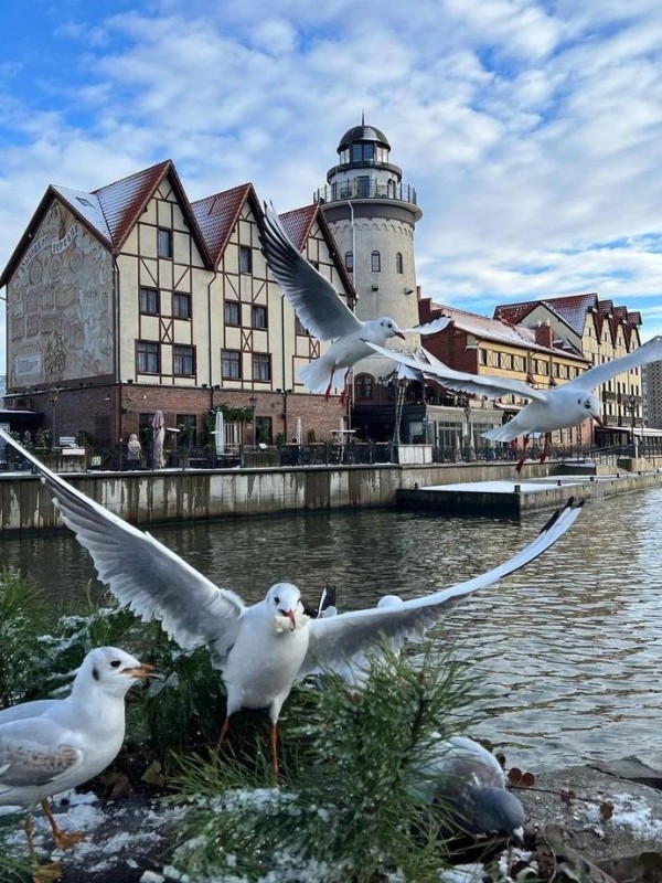 Create meme: fishing village Kaliningrad, fishing village kaliningrad, baltic sea kaliningrad