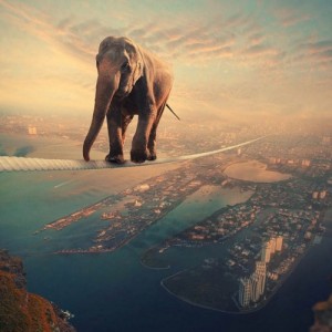 Create meme: elephant, beautiful landscape, elephant