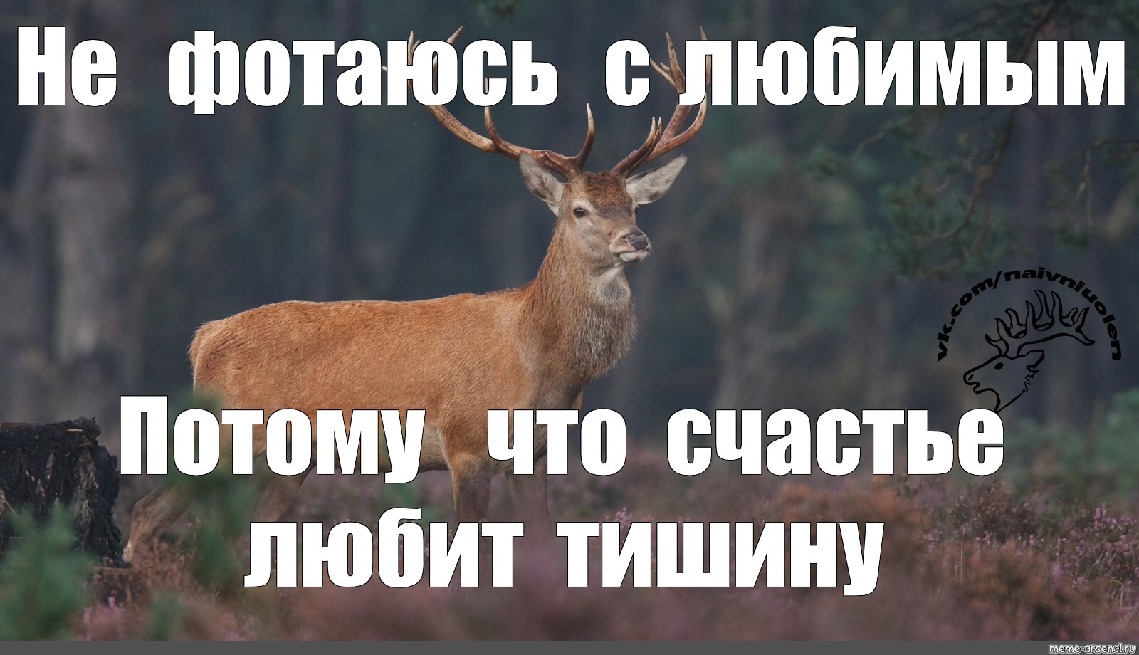 Мем: "", , животные олень,мем наивный олень,дикая природа,deer,бл...