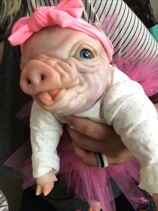 Create meme: reborn pig doll, mumps , reborn animals piglets