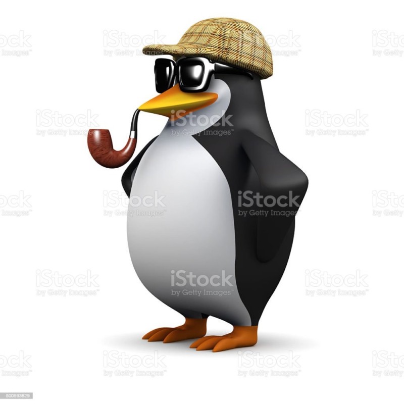 Create meme: penguin , penguin , it smells like penguin