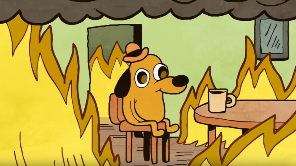 Create meme "burning dog meme, a dog in a fire meme, dog in the burning