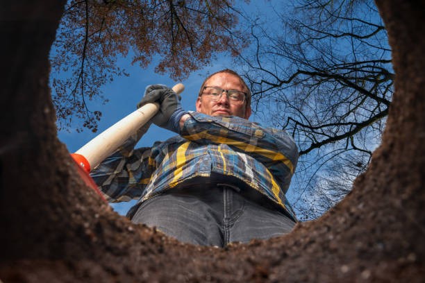 Create meme: people , male , To bury money in the forest