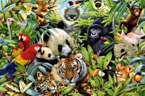 Create meme: animals in the jungle, many animals