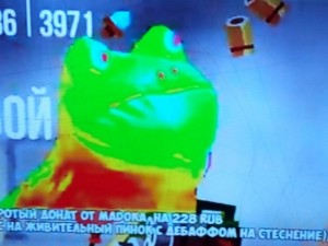 Create meme: rainbow frog