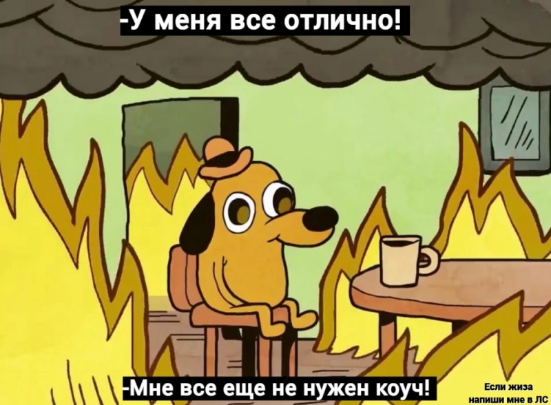 Создать мем: собака в огне мем, собака в пожаре мем, собачка в горящем доме мем