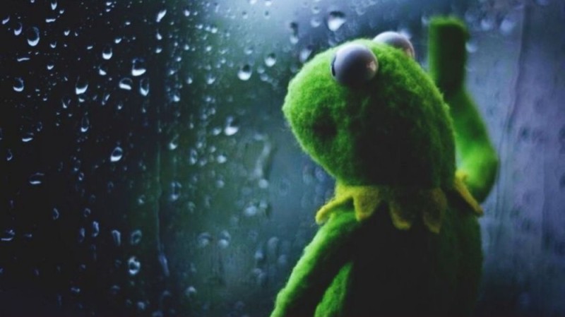 Create meme: kermit the frog by the window, Kermit the frog memes, frog Kermit sad