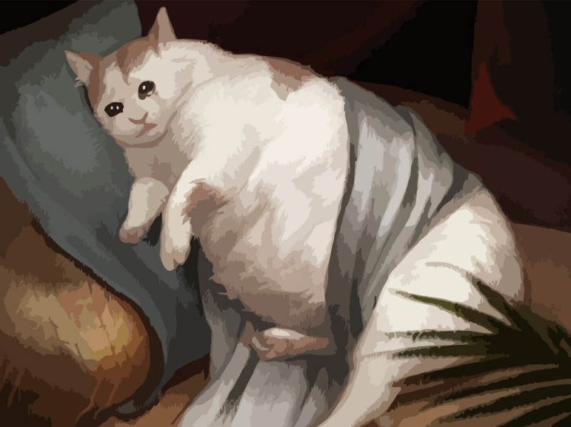 Create meme: fat cat, cat picture, cat painting