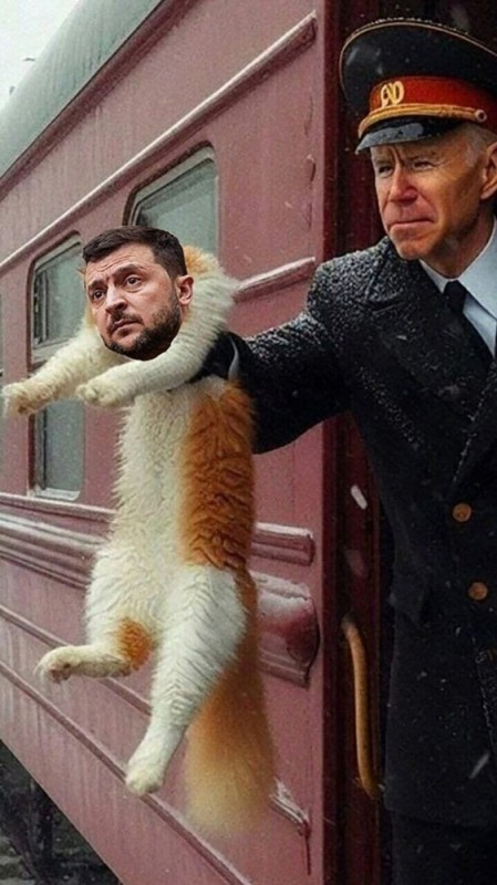 Create meme: cat , long-distance train, Zelensky June 2023