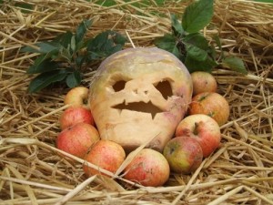 Create meme: Apple, fallen apples, Fruit