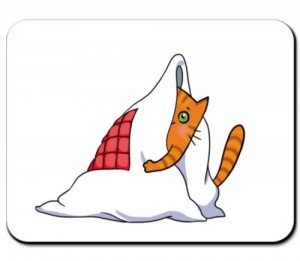 Create meme: playful fox cartoon, The cat in the blanket