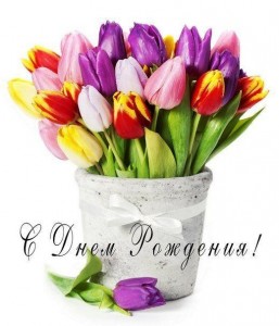 Создать мем: с днем рождения с тюльпанами, открытки с 8 марта тюльпаны, картинки с днем рождения цветы тюльпаны