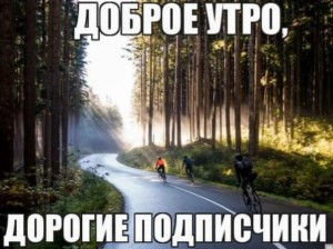 Create meme: Cycling, good morning dear followers, road forest