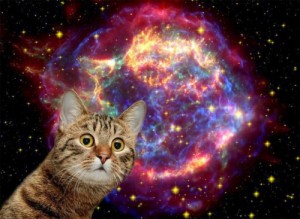 Create meme: in space, cats, supernova