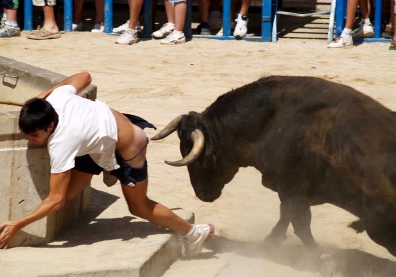 Create meme: the second , a second before the pain, bullfight